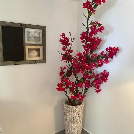 Mamma Mia I Lejlighed *