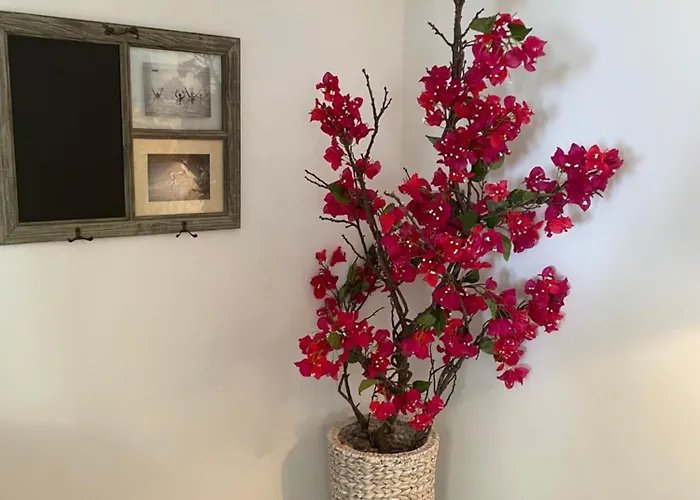 Mamma Mia I Apartmán *